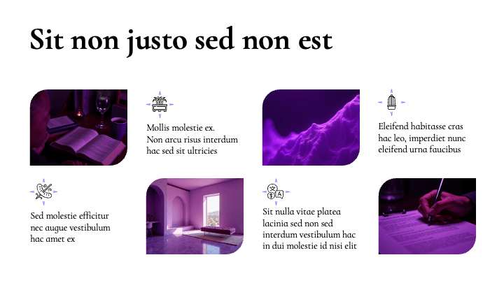 Stellar Blossom Purple Vibrant slide 3